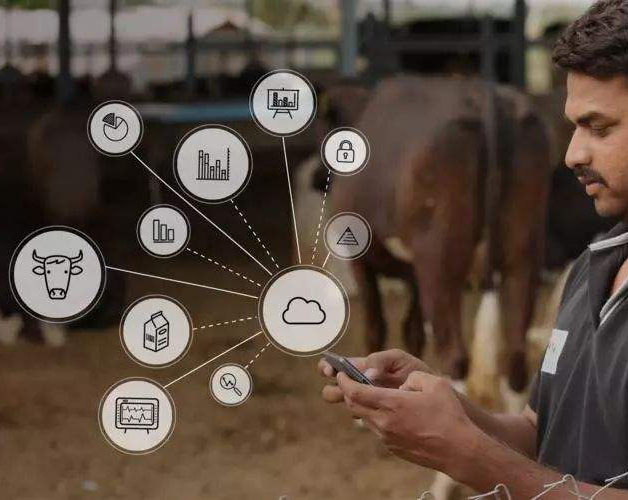 人工智能在畜牧业生产管理上的应用