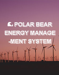 Polar Bear Energy Management System